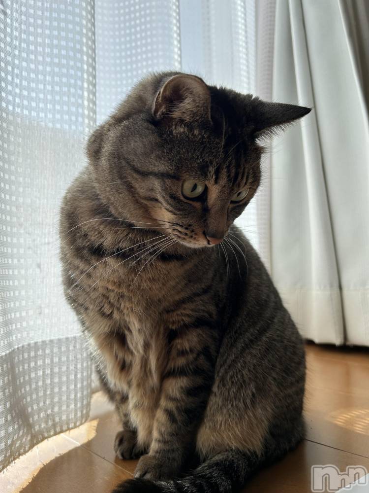 ʥå륺С饪աɥС Mimi(饪աɥС ߥ) ˤʤ715̥֥ˤ󤳡