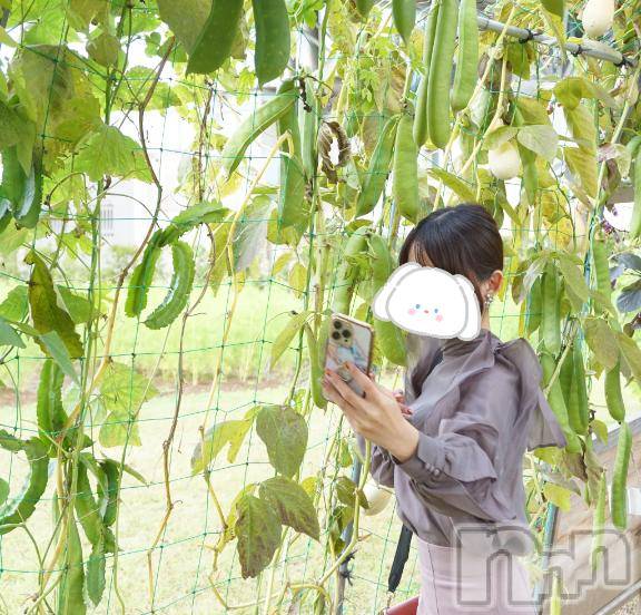 長岡デリヘルBIANCA～主人の知らない私～長岡店(ビアンカナガオカテン) 棚橋　みつば(27)の11月7日写メブログ「寒い日はスープが飲みたくなる🍁」