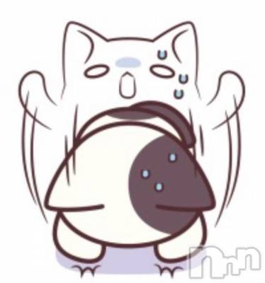 長岡デリヘル BIANCA～主人の知らない私～長岡店(ビアンカナガオカテン) 棚橋　みつば(27)の9月29日写メブログ「出勤おやすみ」