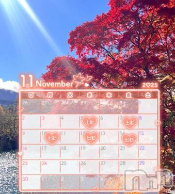 長岡デリヘル BIANCA～主人の知らない私～長岡店(ビアンカナガオカテン) 棚橋　みつば(27)の11月1日写メブログ「今月の出勤予定🍁」