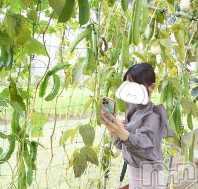 長岡デリヘル BIANCA～主人の知らない私～長岡店(ビアンカナガオカテン) 棚橋　みつば(27)の11月7日写メブログ「寒い日はスープが飲みたくなる🍁」