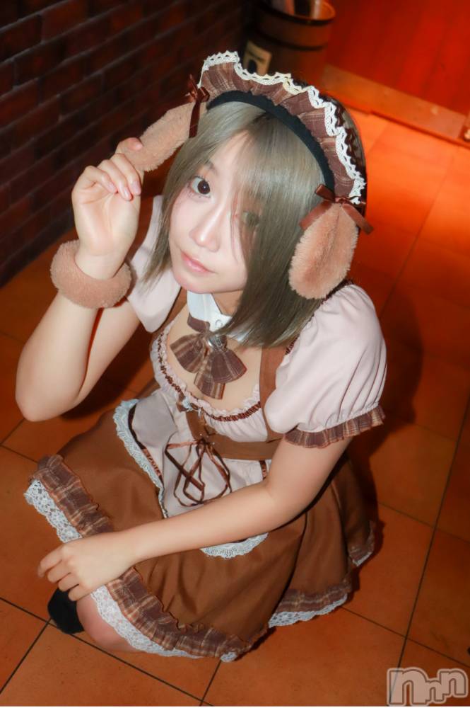 ȯѥ˥󥯥ֿ㥳(˥) ߤȴ617̥֥ͽ꤬äѤ