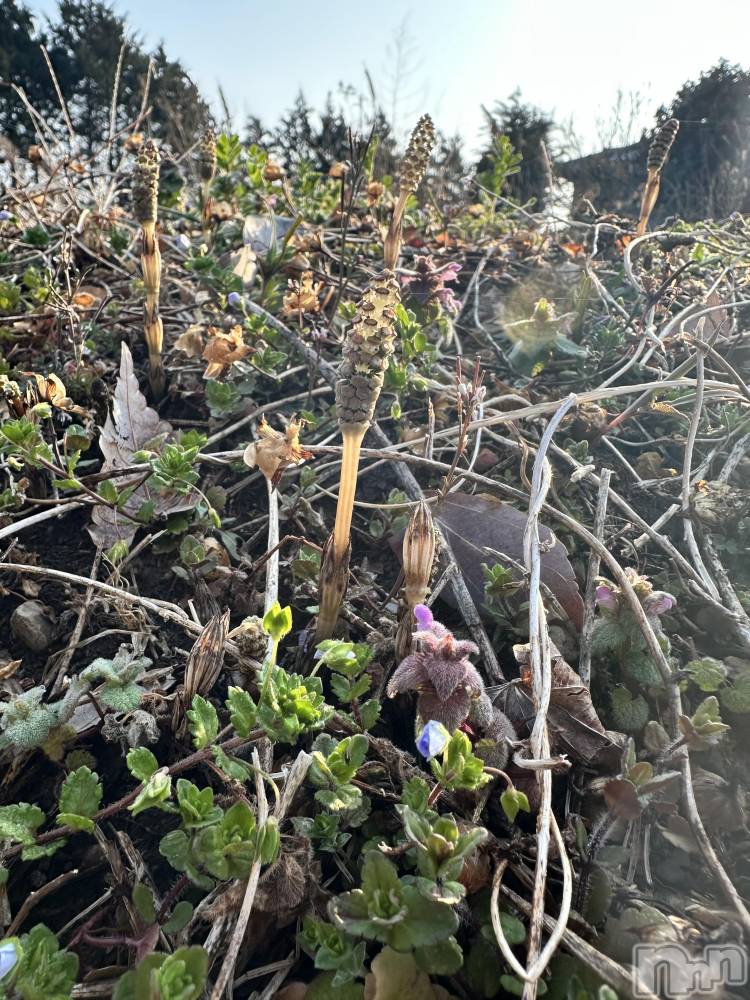 ���ᥭ��Х��顦�����CLUB ASLI(����֥�����) �Ҥ����3��31���̥�֥����֤����