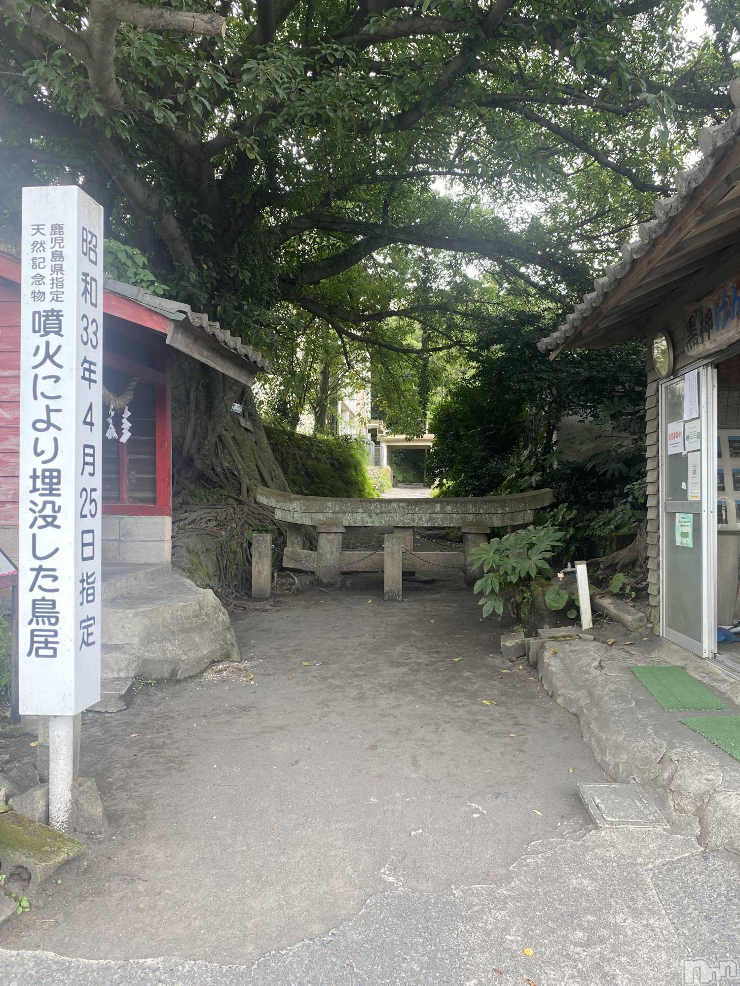 ���ᥭ��Х��顦�����CLUB ASLI(����֥�����) ��2026ǯ3��6���̥�֥����֤���(���꒳​��� )͟͟͞͞ =��