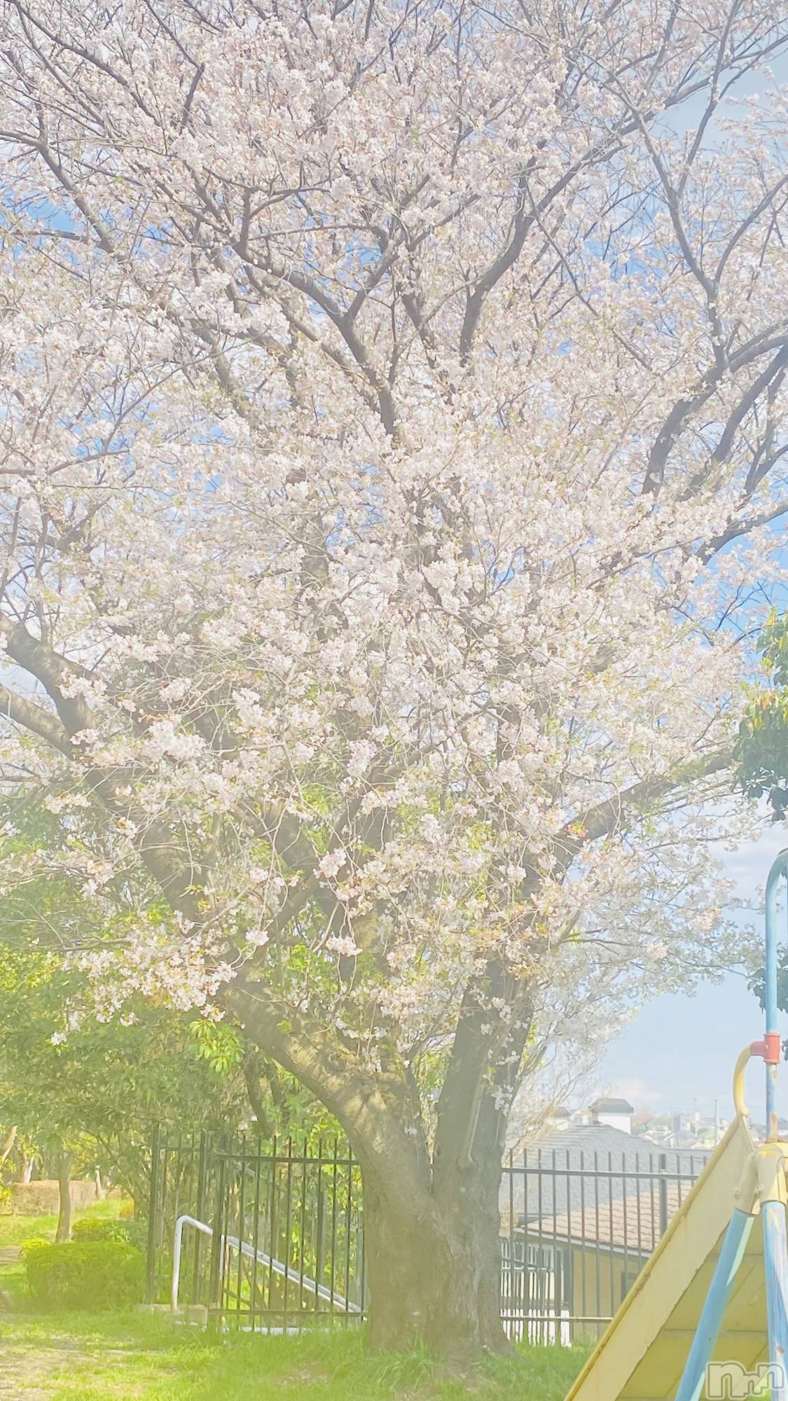 ���ᥭ��Х��顦�����CLUB ASLI(����֥�����) ��2026ǯ4��10���̥�֥����֤����