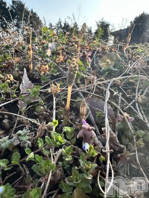 ���ᥭ��Х��顦�����CLUB ASLI(����֥�����) �Ҥ����3��31���̥�֥����֤����