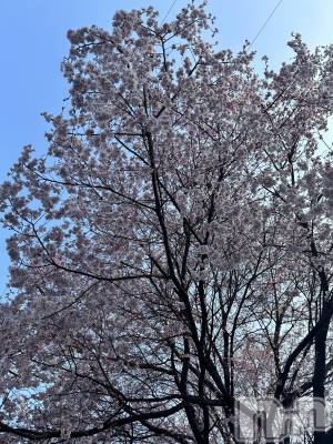 ���ᥭ��Х��顦�����CLUB ASLI(����֥�����) �Ҥ����4��1���̥�֥����֤���(���꒳​��� )͟͟͞͞ =��