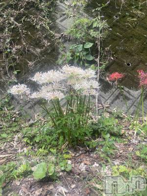 ���ᥭ��Х��顦�����CLUB ASLI(����֥�����) �Ҥ����4��7���̥�֥����֤����