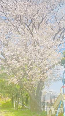 ���ᥭ��Х��顦�����CLUB ASLI(����֥�����) �Ҥ����4��10���̥�֥����֤����