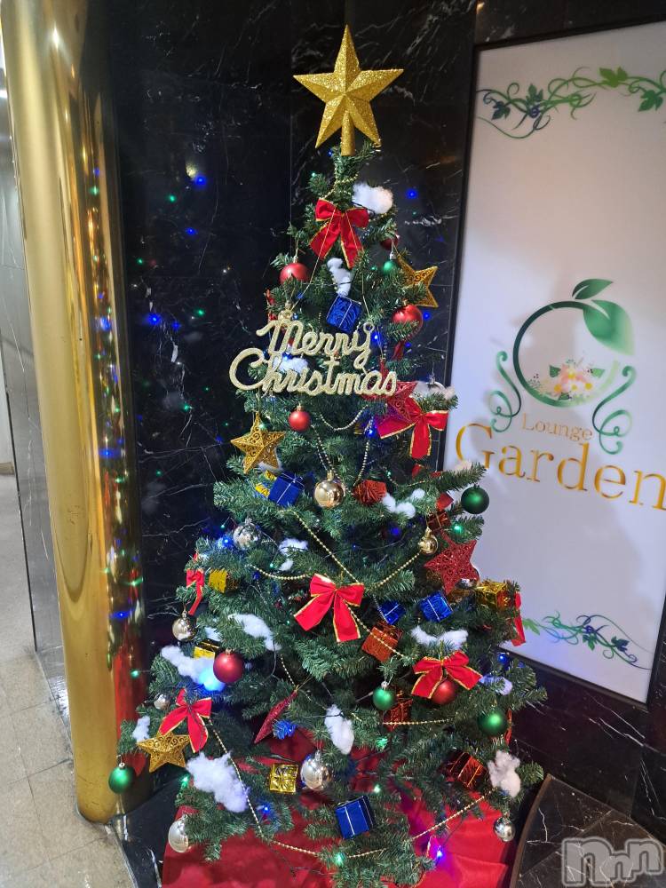 ĮХ顦lounge Garden(饦󥸥ǥ) Ť1126̥֥🫶