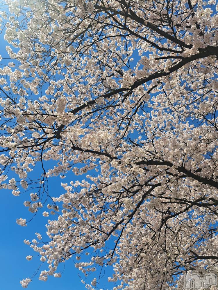 ��Į����Х��顦�����lounge Garden(�饦�󥸥����ǥ�) ��Ť���4��7���̥�֥���������20��Ⱦopen�Ǥ�🫶��