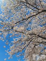 ��Į����Х��顦�����lounge Garden(�饦�󥸥����ǥ�) ��Ť�(23)��4��7���̥�֥���������20��Ⱦopen�Ǥ�🫶��