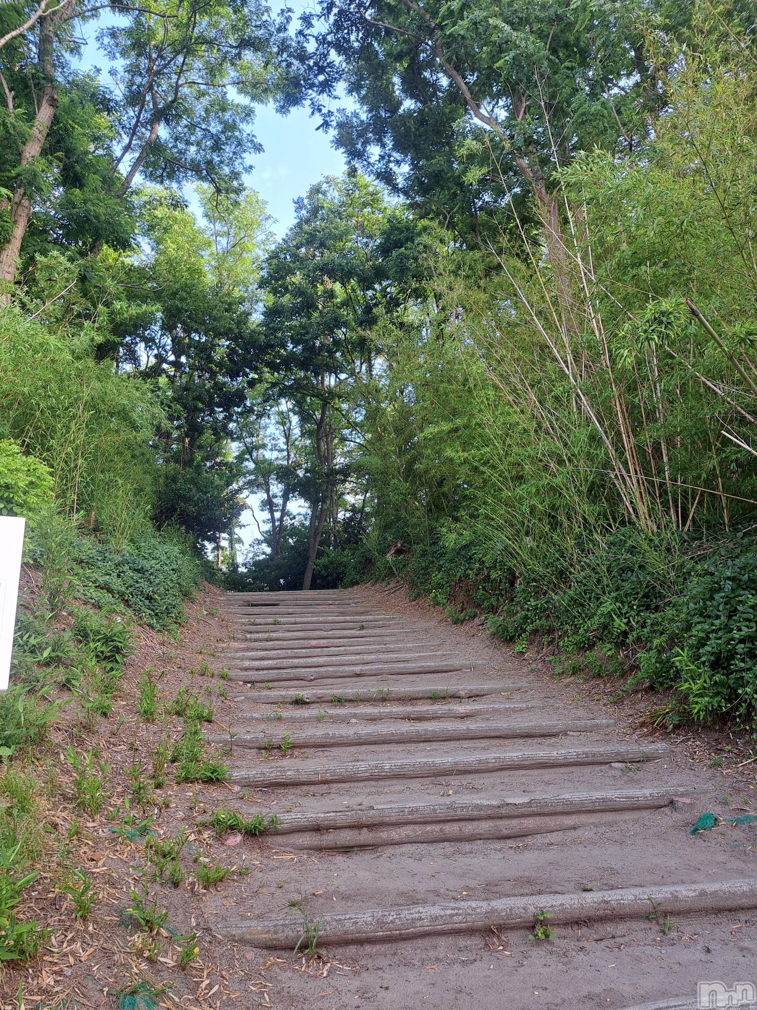 ĮХ顦lounge Garden(饦󥸥ǥ) 2025ǯ619̥֥🫶