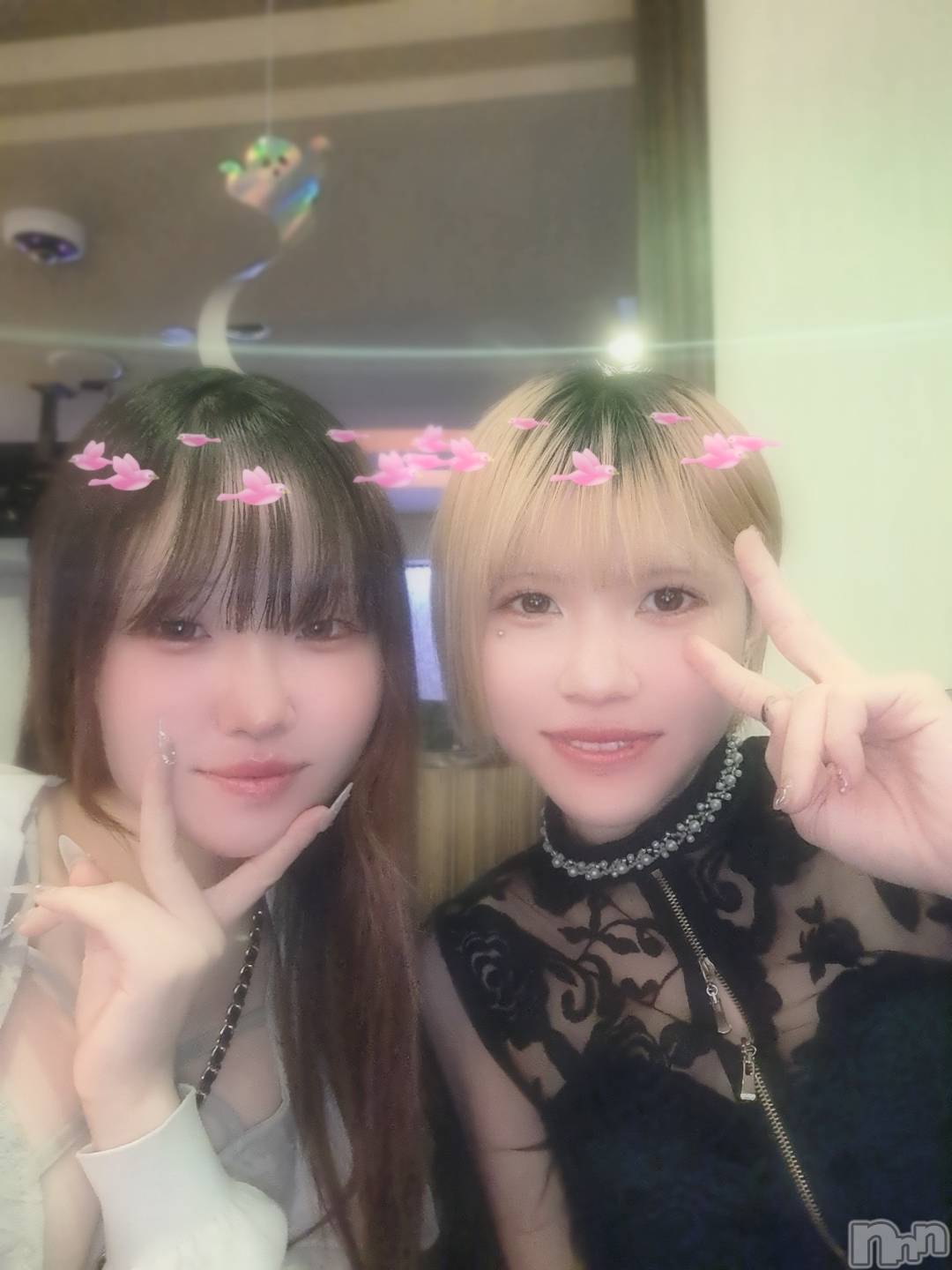 ĮХ顦lounge Garden(饦󥸥ǥ) 2025ǯ1029̥֥🫶