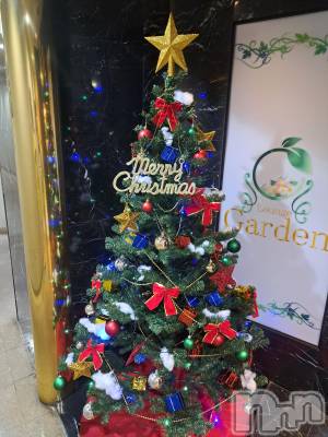 ĮХ顦lounge Garden(饦󥸥ǥ) Ť(22)1126̥֥🫶