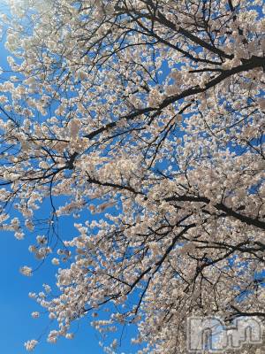 ��Į����Х��顦�����lounge Garden(�饦�󥸥����ǥ�) ��Ť�(23)��4��7���̥�֥���������20��Ⱦopen�Ǥ�🫶��