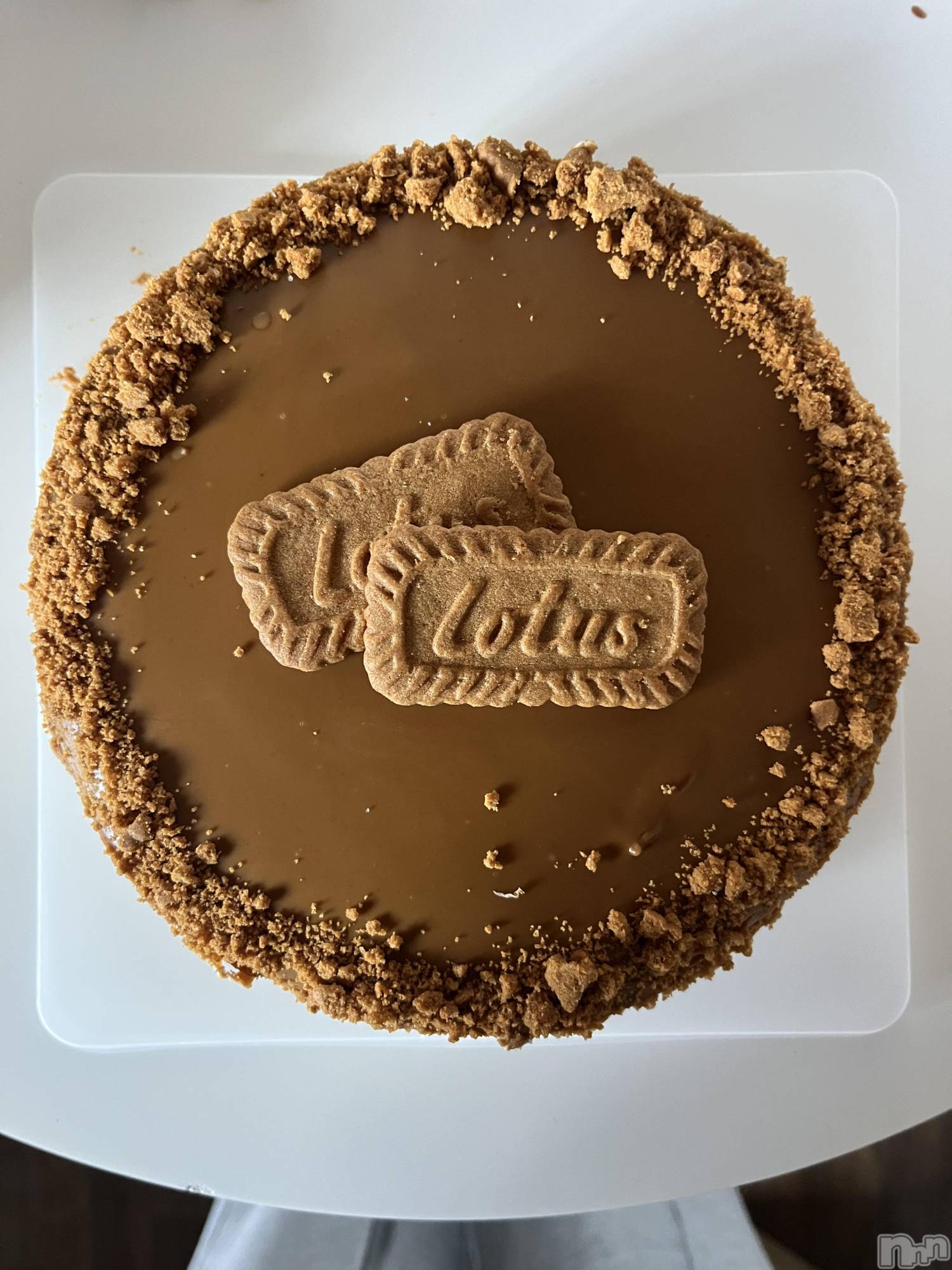 ʥå륺С饪ϥܡbarͻ(饪ϥܡСӥ󥷥ޥ) 2025ǯ117̥֥֤פ֤Ǥ