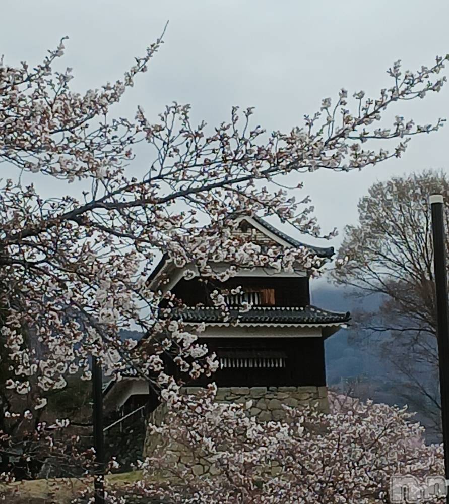 上田発デリヘルBIBLE～奥様の性書～(バイブル～オクサマノセイショ～) ◇サトミ◇(52)の4月1日写メブログ「3日出勤します🍀😌🍀」