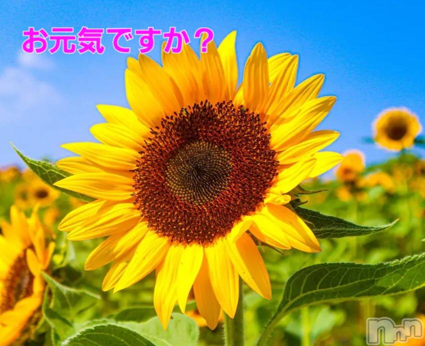 上田発人妻デリヘルBIBLE～奥様の性書～(バイブル～オクサマノセイショ～)◇サトミ◇体験美熟女(52)の2025年9月1日写メブログ「9月の出勤予定です」