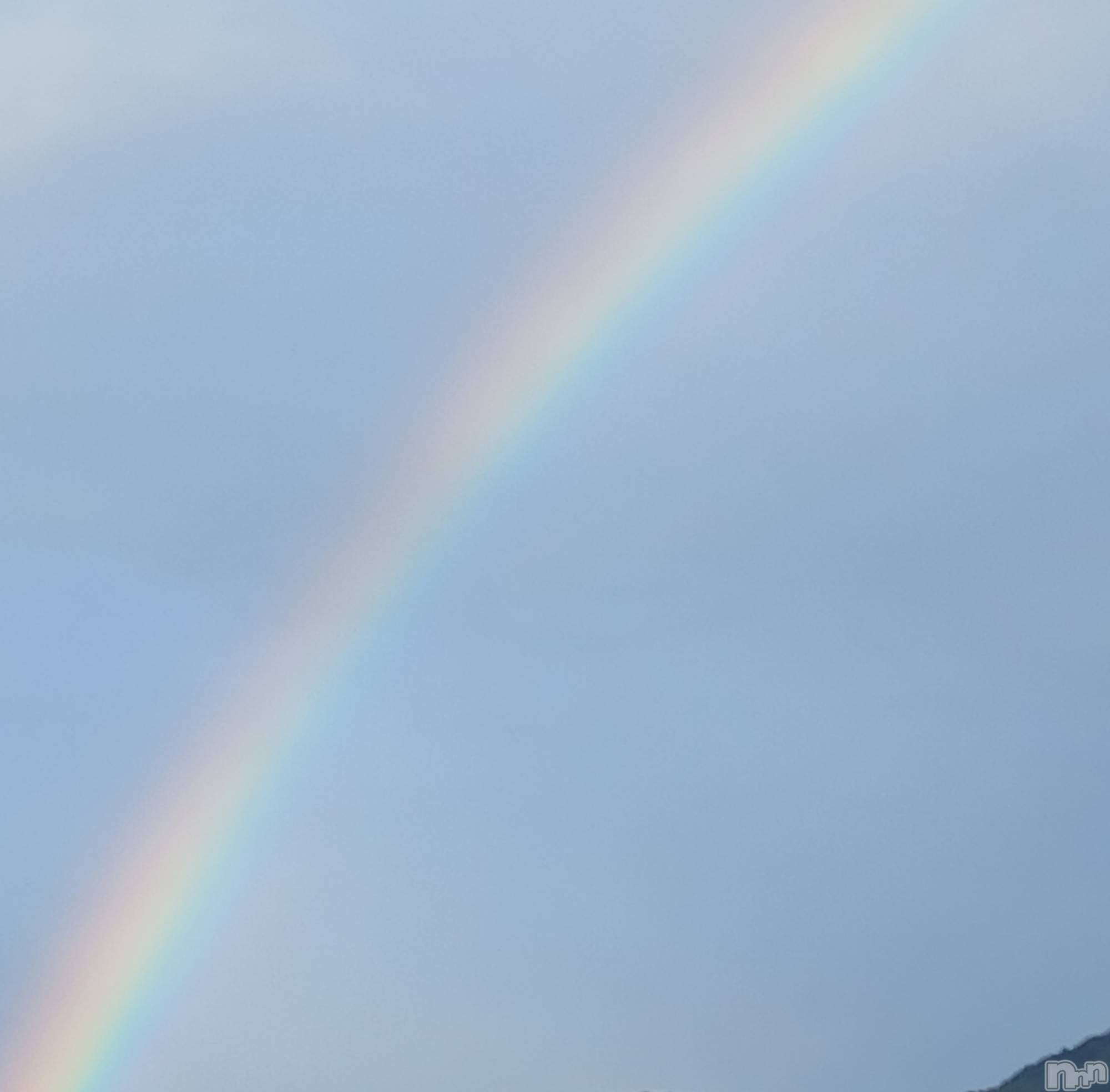 上田発デリヘルBIBLE～奥様の性書～(バイブル～オクサマノセイショ～)◇サトミ◇(52)の2025年10月25日写メブログ「虹が出ていたよ🩷」