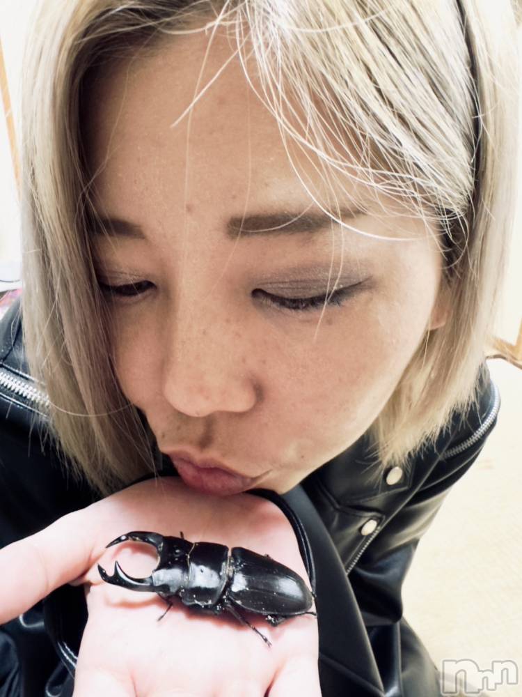 Įʥå륺СGIRLS BAR ROBIN(륺Сӥ)  -MIYAVI-626̥֥֥塞💋