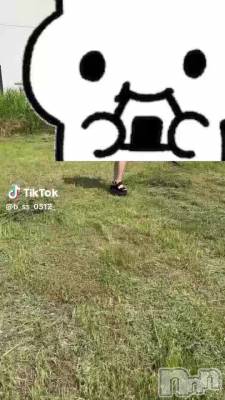 713 0419ʬư