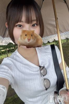 Įˤ륹ʥå륺СGIRLS BAR ROBIN(륺Сӥ)פΥ㥹ȡ֤ʤʡפξҲ
