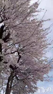 �Ǹ�Τ�����