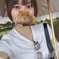 ʤ