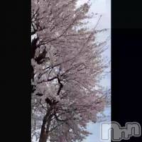 �Ǹ�Τ�����