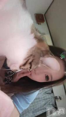 ¸�ߤ��Ƥ����������🥹💞