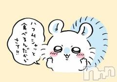 長岡デリヘル純・無垢(ジュンムク) ひな(21)の6月24日写メブログ「忘れられない時間を」