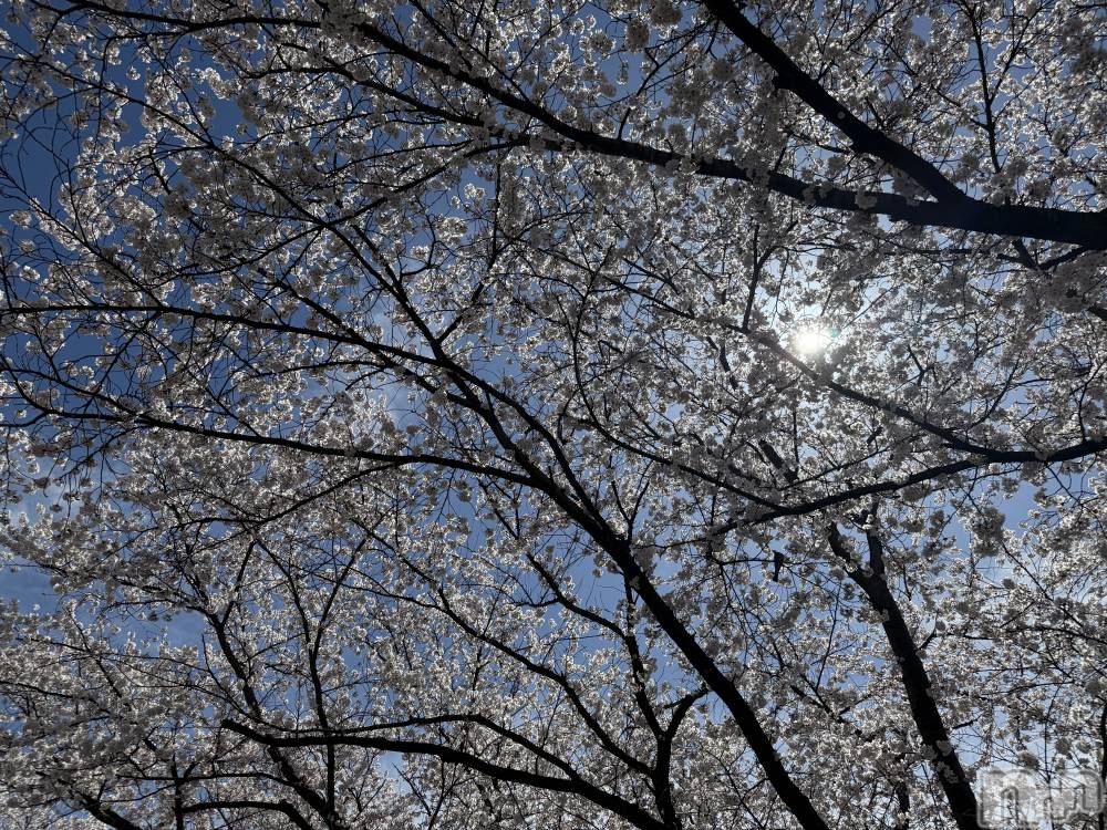 ��Ʋ����Х��顦�����CLUB FOUR GARDEN(����֡��ե��������ǥ�) ����4��12���̥�֥�����😤��