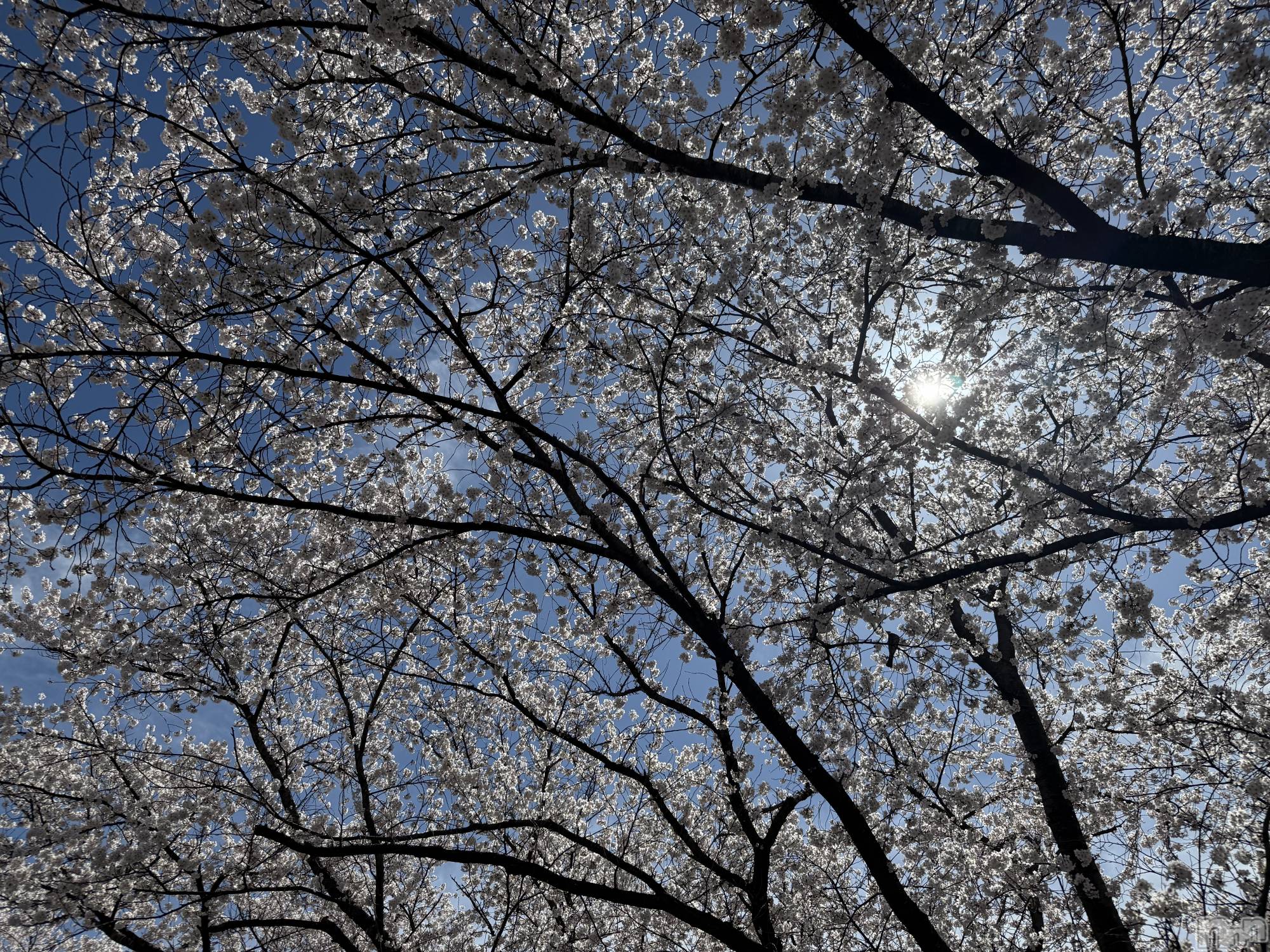 ��Ʋ����Х��顦�����CLUB FOUR GARDEN(����֡��ե��������ǥ�) ��2026ǯ4��12���̥�֥�����😤��