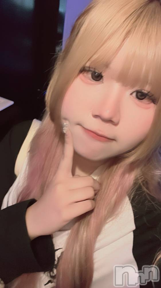 ʥå륺СROYAL ONE() Τ628̥֥֤Ϥ褦ޤ