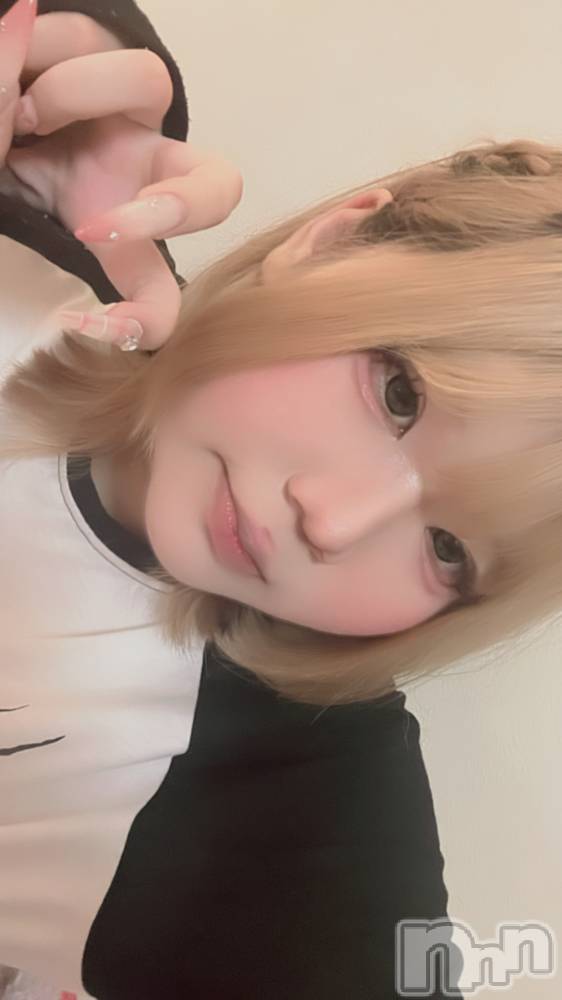 ʥå륺СROYAL ONE() Τ723̥֥֤塪