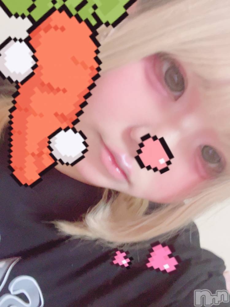 ʥå륺СROYAL ONE() Τ829ֺ̥֥жФ󡪡