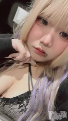 ʥå륺СROYAL ONE() (20)88̥֥Ϣ3ܡ