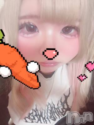 ʥå륺СROYAL ONE() (20)925̥֥֥饳