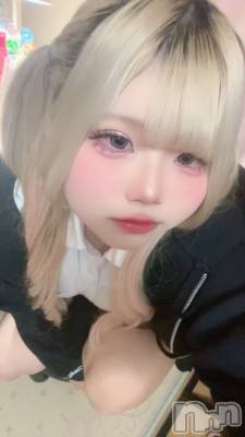 ʥå륺СROYAL ONE() (20)1017̥֥֤Ϥߡ