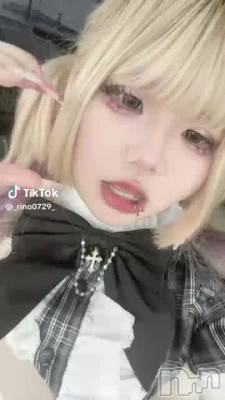 811 2026ʬư