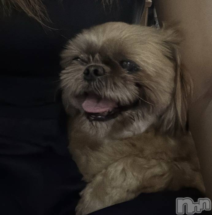 ����������ʥå��������륺�С�Lounge Anshu(�饦�󥸥��󥷥�) �ߤ���1��19���̥�֥����֥ǥְ���🐶��