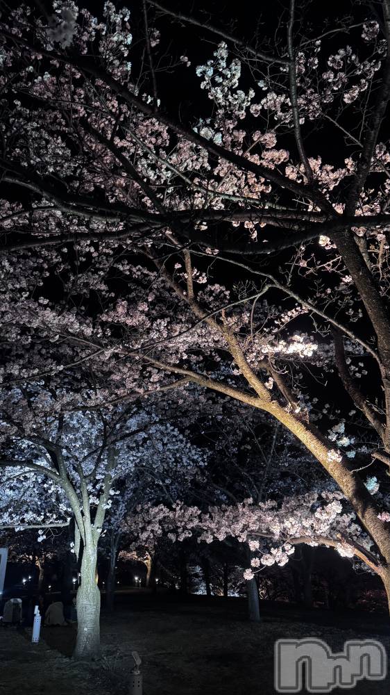 ����������ʥå��������륺�С�Lounge Anshu(�饦�󥸥��󥷥�) �ߤ���4��6���̥�֥����ֺ�ǯ�⸫�줿🌸��