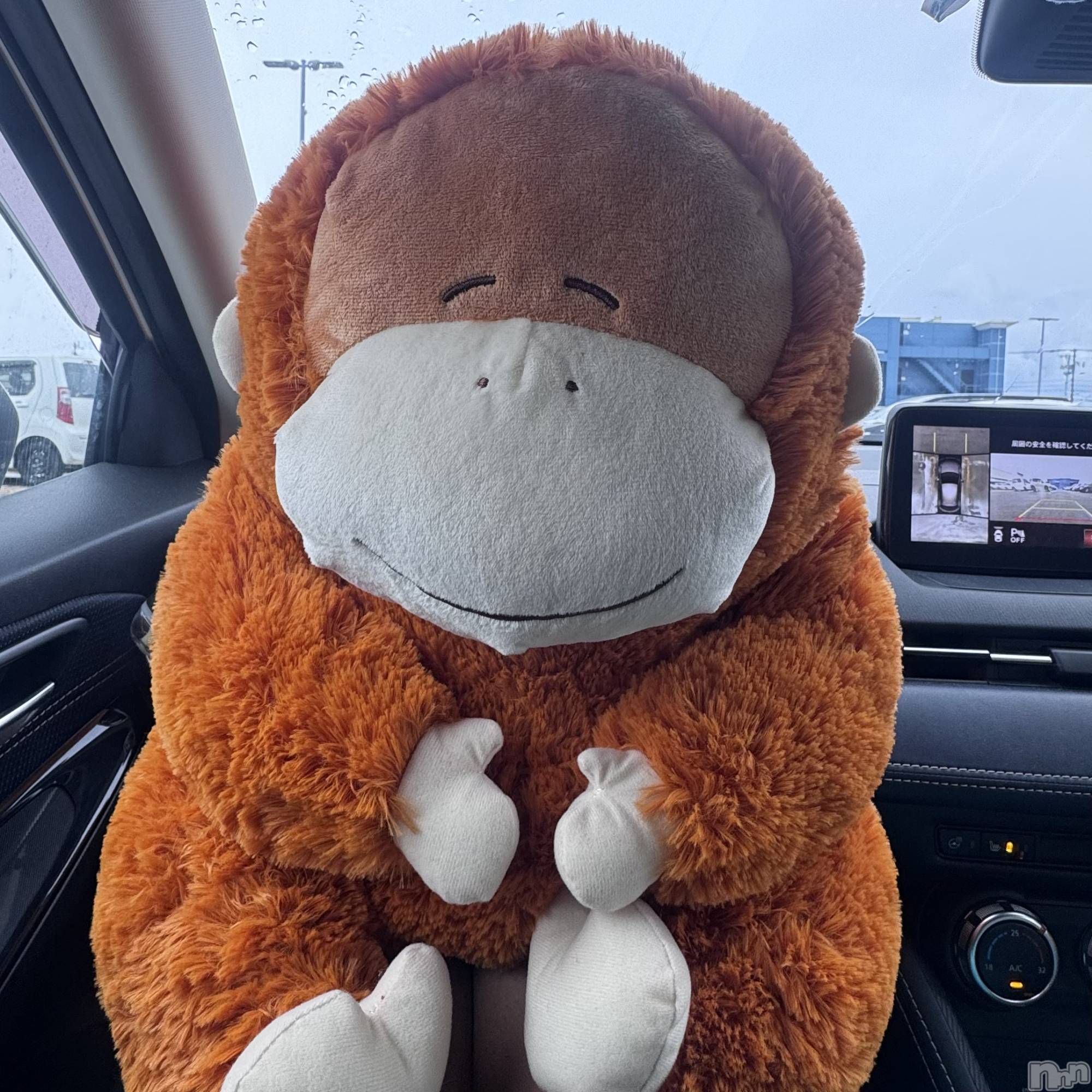 ����������ʥå��������륺�С�Lounge Anshu(�饦�󥸥��󥷥�) ��2026ǯ2��9���̥�֥����֥�������🦍��