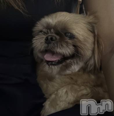 ����������ʥå��������륺�С�Lounge Anshu(�饦�󥸥��󥷥�) �ߤ�(21)��1��19���̥�֥����֥ǥְ���🐶��