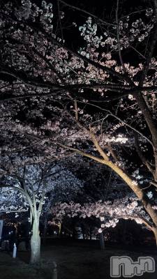 ����������ʥå��������륺�С�Lounge Anshu(�饦�󥸥��󥷥�) �ߤ�(21)��4��6���̥�֥����ֺ�ǯ�⸫�줿🌸��