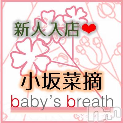 㡦ȯĥꥢˤ󥺥ơbaby's breath(٥ӡ ֥쥹)פΥ㥹ȡ־Ŧڿۡ͡פξҲ