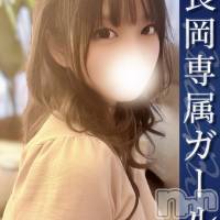 ここ