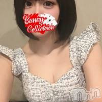 コトネ