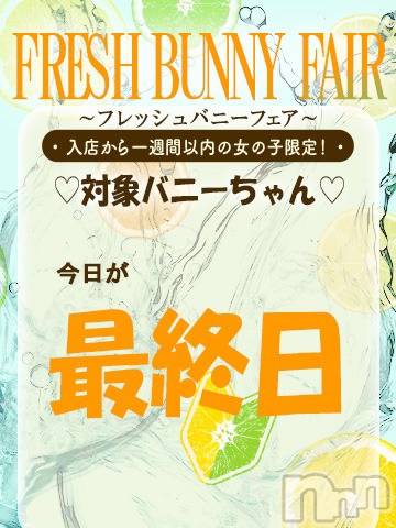 ヒナタ
